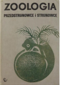 Zoologia przedstrunowce i strunowce