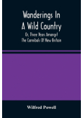 Wanderings In A Wild Country