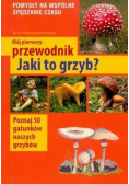 Mój pierwszy przewodnik. Jaki to grzyb?
