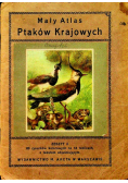 Mały Atlas Ptaków Krajowych Zeszyt II 1925 r.