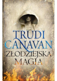 Prawo Milenium. Złodziejska magia BR