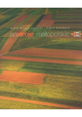 Nastroje małopolskie