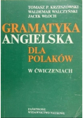 Gramatyka angielska dla Polaków w ćwiczeniach