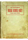 Krzak dzikiej róży 1907 r.