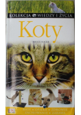 Koty