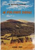 W Połowie Drogi