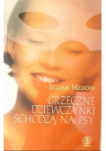 Grzeczne dziewczynki schodzą na psy