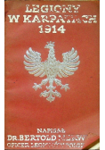 Legiony w karpatach 1914 1915 r.