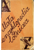 Mała encyklopedia lotnicza Ilustrowany słownik lotniczy 1938 r.