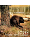 Bobry