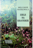 Ziele na kraterze