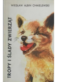 Tropy i ślady zwierząt