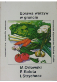 Uprawa warzyw w gruncie