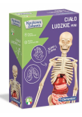 Naukowa zabawa. Ciało ludzkie mini