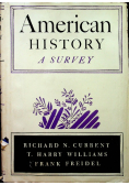 American History a Survey