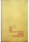 Żywe kamienie
