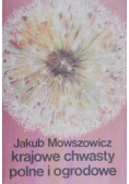 Krajowe chwasty polne i ogrodowe