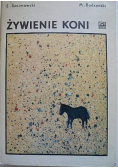 Żywienie koni
