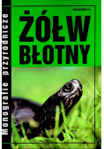 Żółw błotny