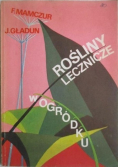 Rośliny lecznicze w ogródku