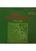 Atlas gwar polskich Tom 3 Śląsk