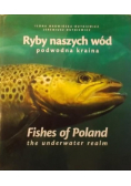 Ryby naszych wód