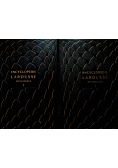 Encyclopedie Larousse Methodique 2 tomy