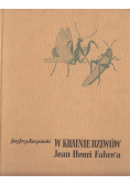 W krainie dziwów