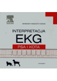 Interpretacja EKG psa i kota