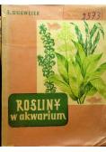 Rośliny w akwarium