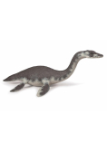 Plesiosaurus
