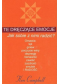 Te dręczące emocje