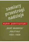 Zamiary Przestrogi Nadzieje Bunt Młodych Polityka 1931 1939