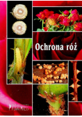 Ochrona róż