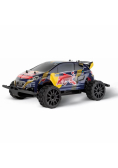 RC Cars Profi