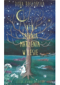 Kto spełnia marzenia w lesie