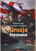 Gruzja nieznana Wspólne losy Gruzinów i Polaków