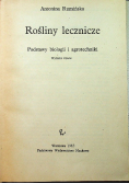 Rośliny lecznicze i bogate w witaminy