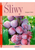 Śliwy