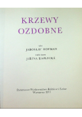 Krzewy ozdobne