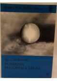 Pomiędzy potopem a tęczą nr 8