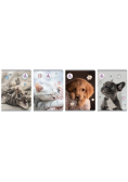 Zeszyt A5/60K linia The Sweet Pets (5szt)