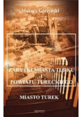Zabytki miasta Turku i powiatu tureckiego tom 1