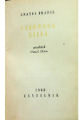 Czerwona lilia