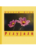 Przyjaźń