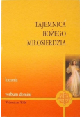 Tajemnica Bożego Miłosierdzia Kazania