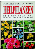 Die gosse Enzyklopädie der Heilpflanzen