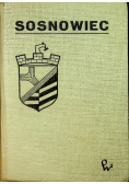 Sosnowiec zarys rozwoju miasta