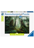 Puzzle 1000 Lasy
