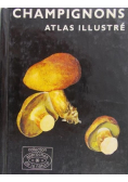 Mały atlas grzybow